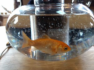 20171206_IMG122857_MotoG4-JEB